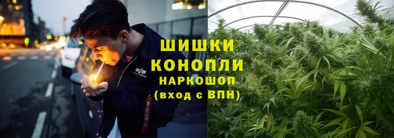 Каннабис LSD WEED  закладки  Грязовец 